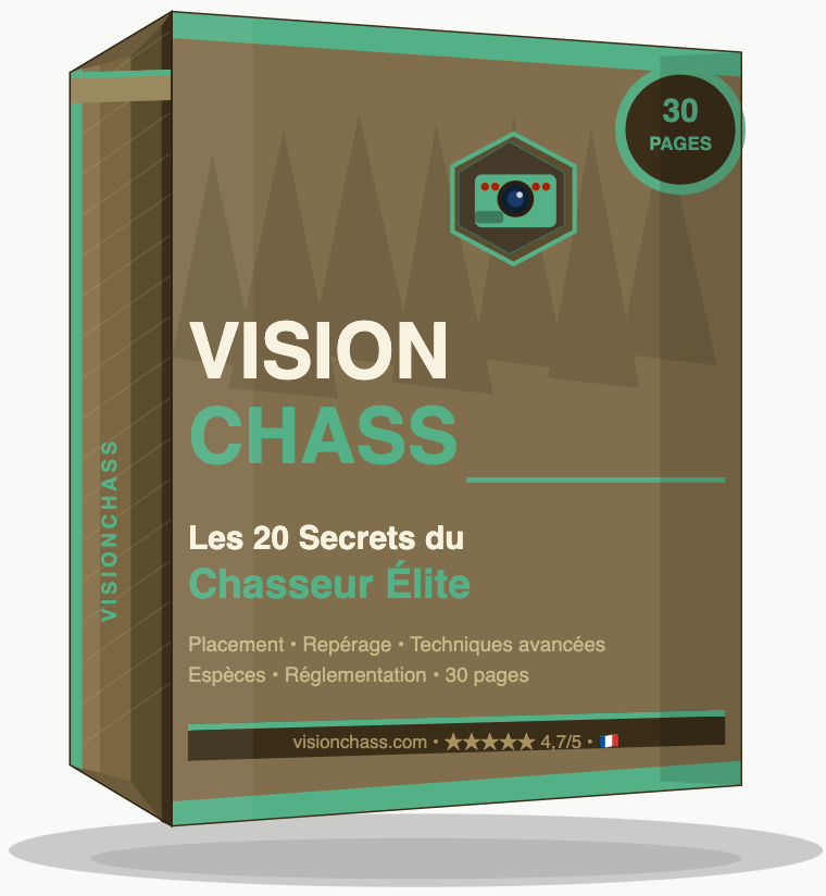 ebook