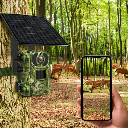 Caméra de chasse 4G solaire
