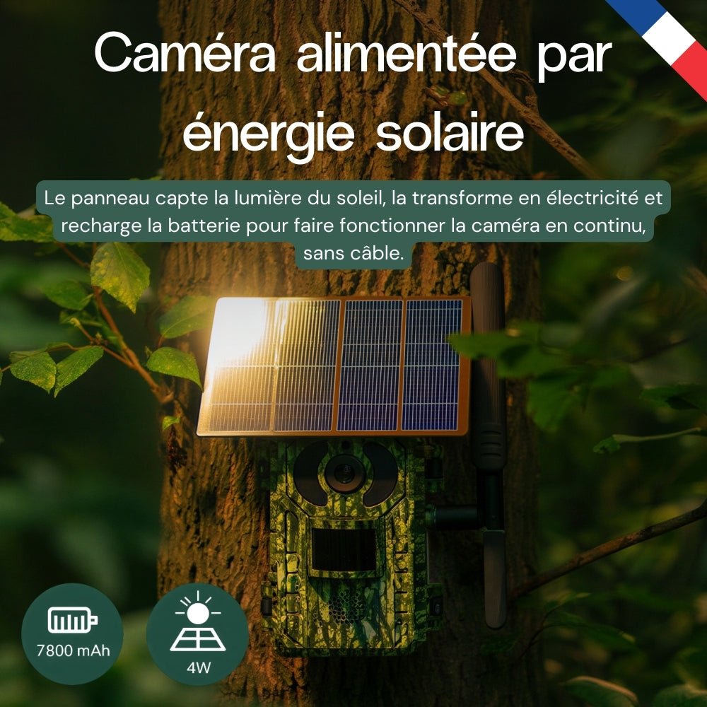 Caméra de chasse 4G solaire