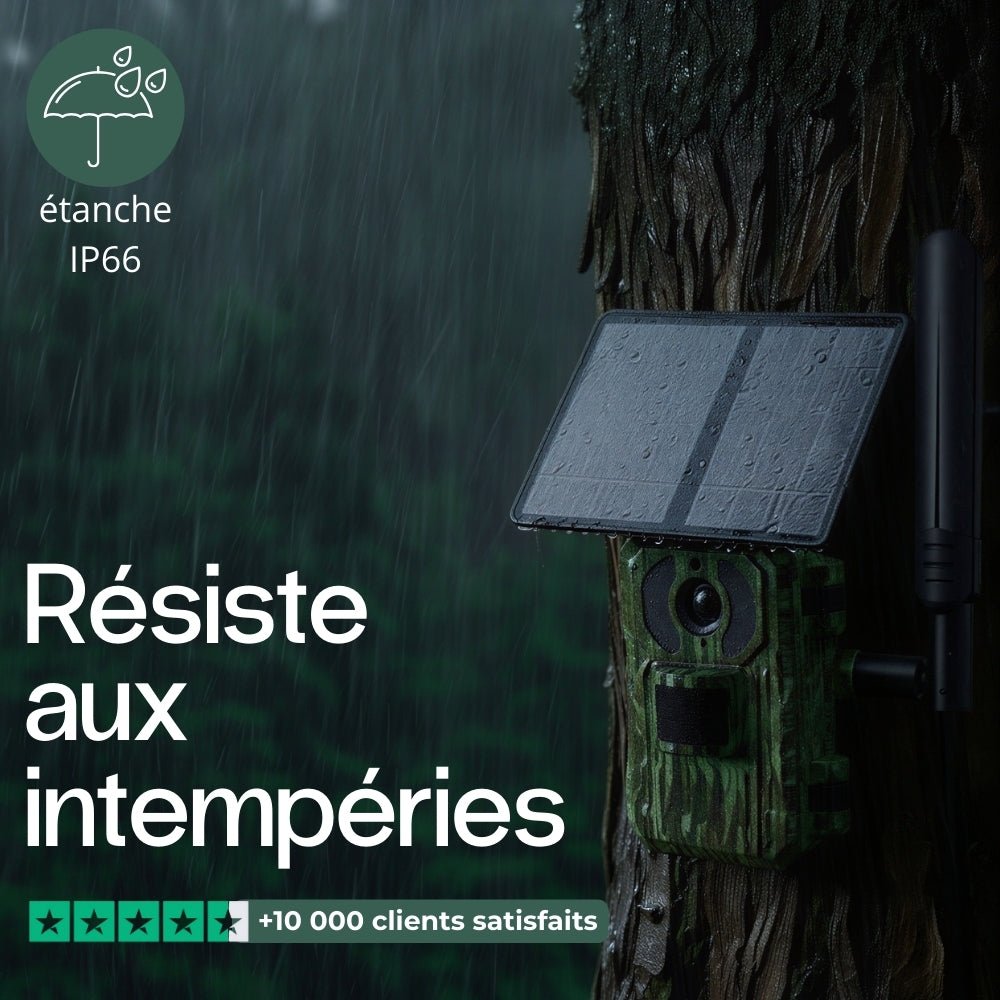 Caméra de chasse 4G solaire