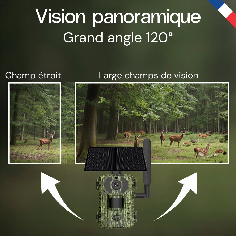 Caméra de chasse 4G solaire