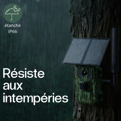 Camera de chasse 4G avec panneau solaire intégré