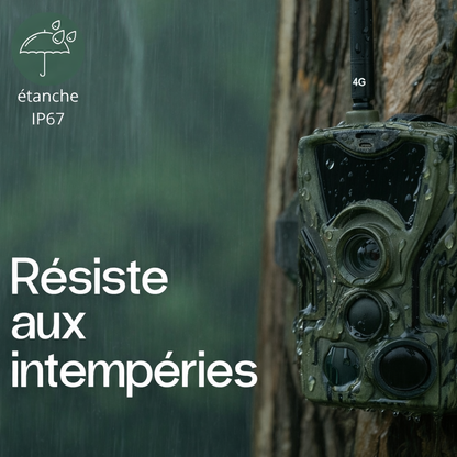 Camera de chasse 4K avec écran 4G+ – Images ultra nettes & contrôle à distance